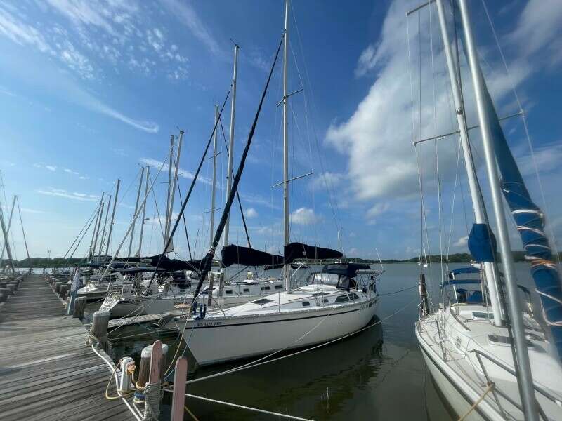 Luffing Life 36ft Hunter Yacht For Sale