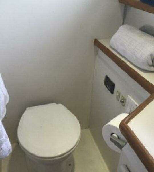 43ft Carver Yacht For Sale