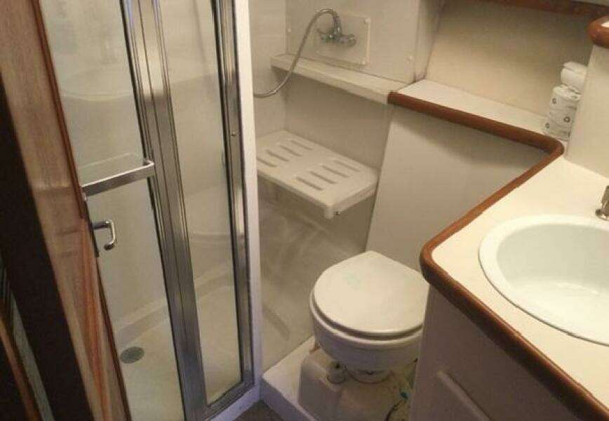 43ft Carver Yacht For Sale