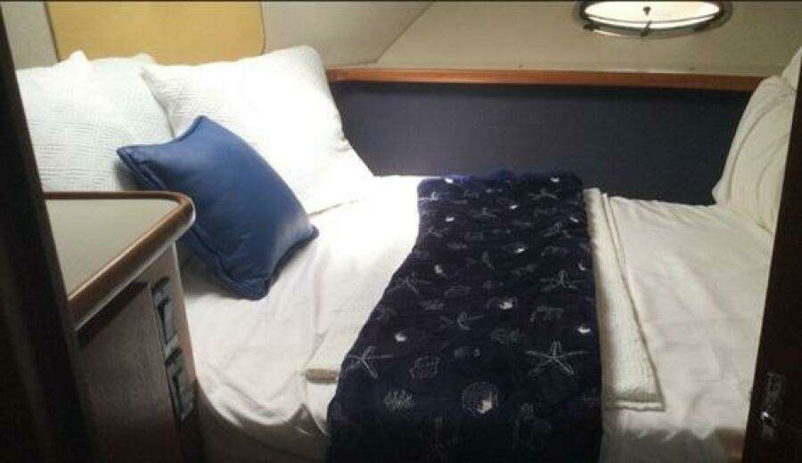 43ft Carver Yacht For Sale