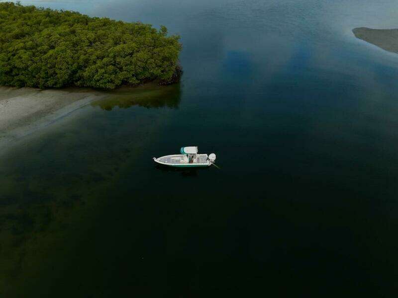 25ft ShearWater Yacht For Sale