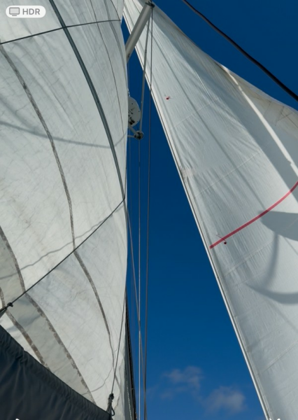 Used Sail Catamaran for sale