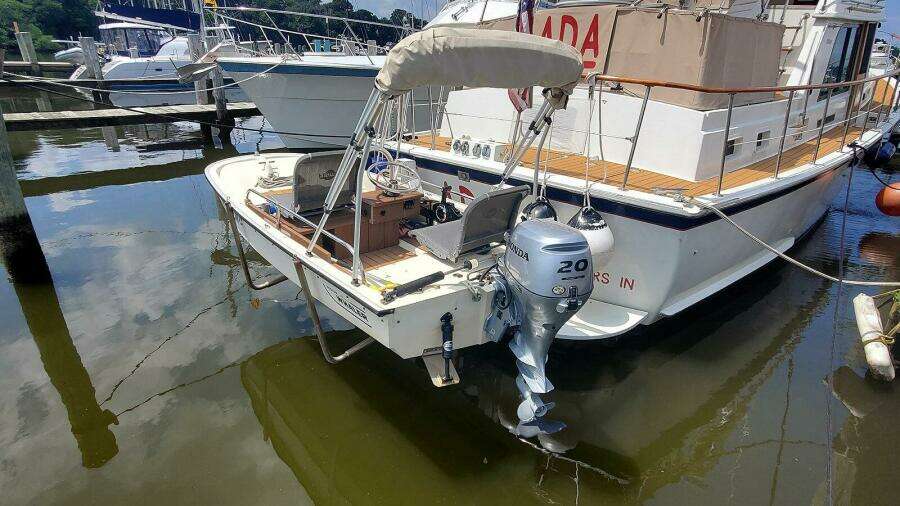 Tender Stern