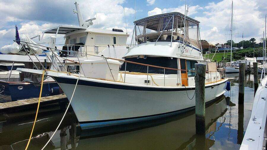 Port Bow Profile