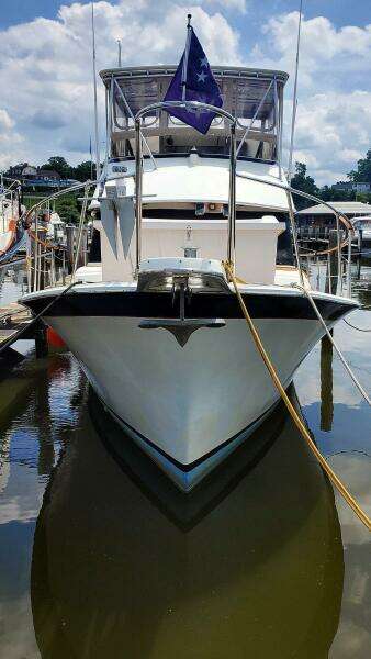 Bow Profile