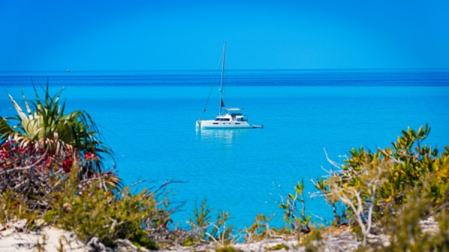 Used Sail Catamaran for sale