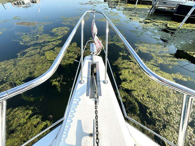 Mid Night Cruz 34ft Carver Yacht For Sale