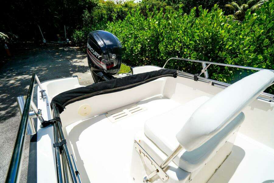 17ft Boston Whaler Yacht For Sale