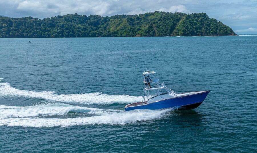 2019 Maverick 36 Walkaround 'Top Fly'