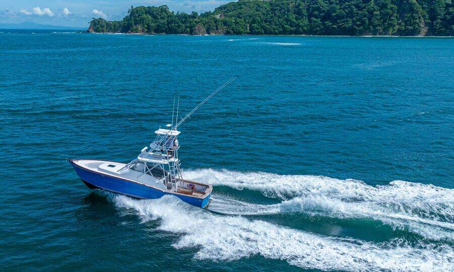 2019 Maverick 36 Walkaround 'Top Fly'