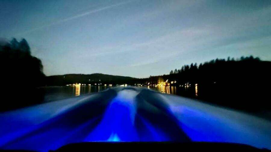 25ft Yamaha Boats Yacht For Sale