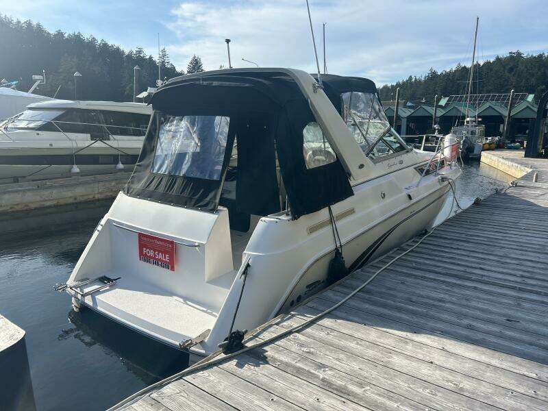 29ft Chaparral Yacht For Sale