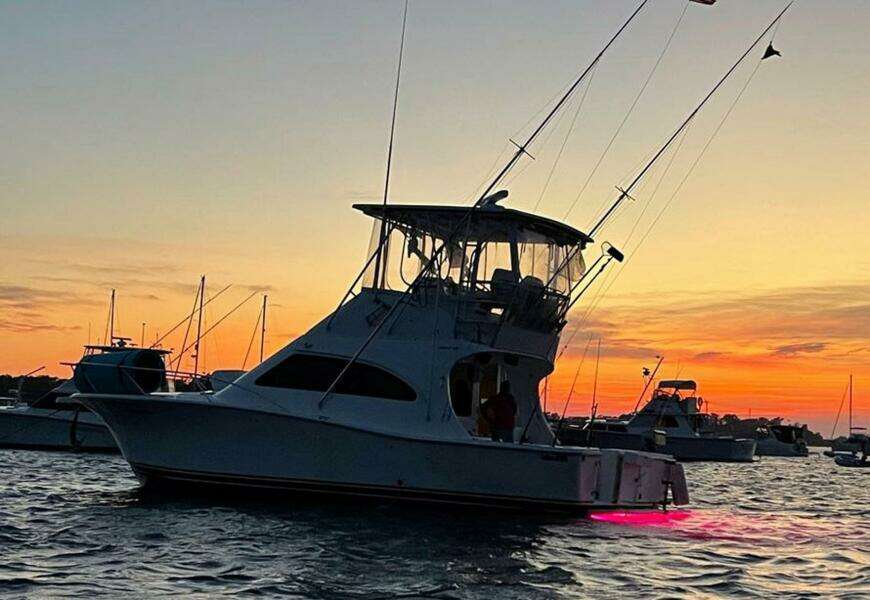 36ft Luhrs Yacht For Sale