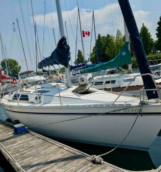 Wayward 30ft Hunter Yacht For Sale