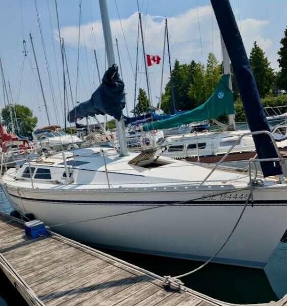 Wayward 30ft Hunter Yacht For Sale