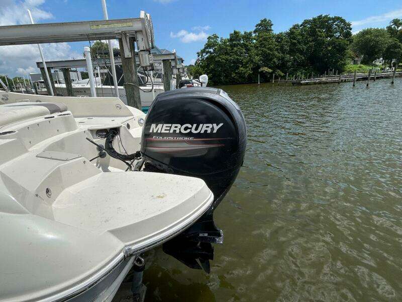 24ft Stingray Yacht For Sale