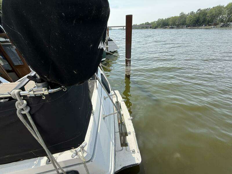 Lily s Pad 32ft Carver Yacht For Sale
