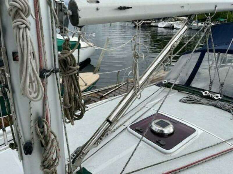 Pure Delight 36ft Catalina Yacht For Sale