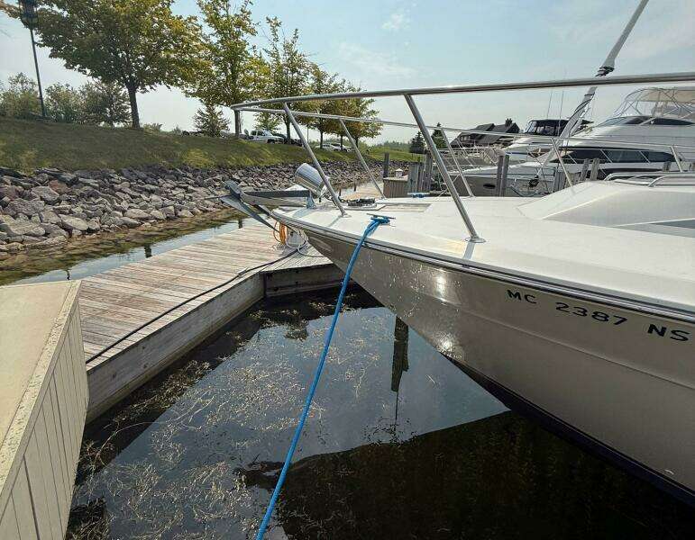 46ft Sea Ray Yacht For Sale