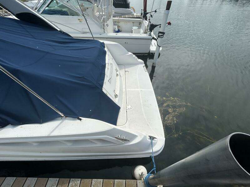 31ft Sea Ray Yacht For Sale