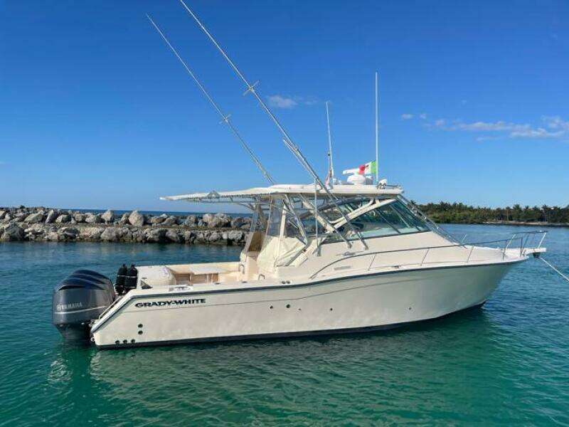 Starboard Profile  