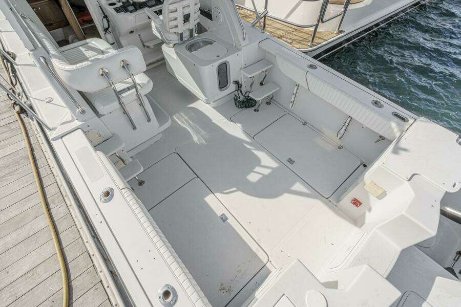 THIS CAT S FISHING 26ft Glacier Bay Yacht For Sale