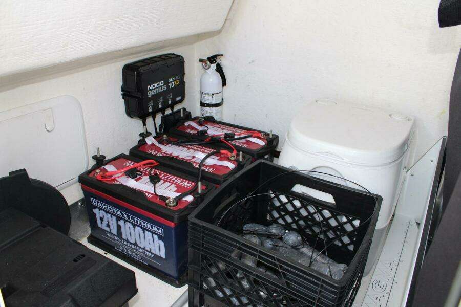 Head/Batteries