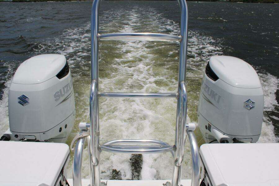 Engines & Swim Ladder