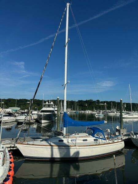 31ft Tartan Yacht For Sale