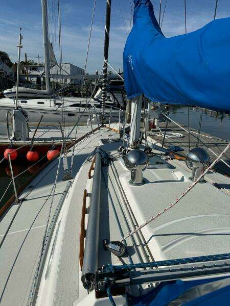 31ft Tartan Yacht For Sale