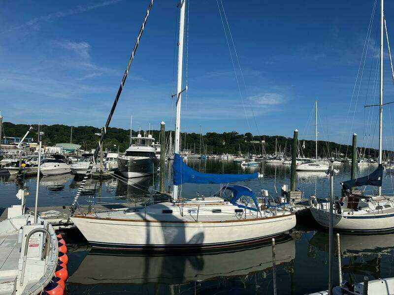 31ft Tartan Yacht For Sale