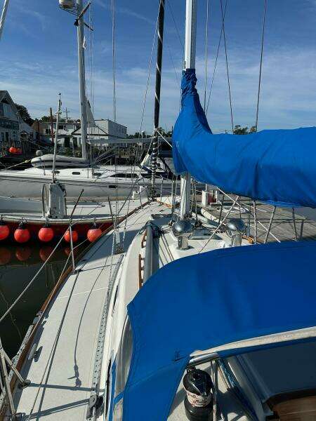 31ft Tartan Yacht For Sale