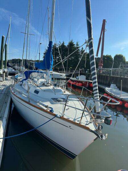 31ft Tartan Yacht For Sale