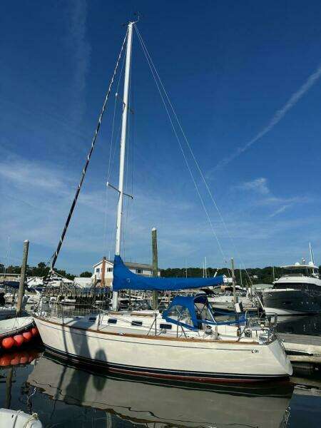 31ft Tartan Yacht For Sale