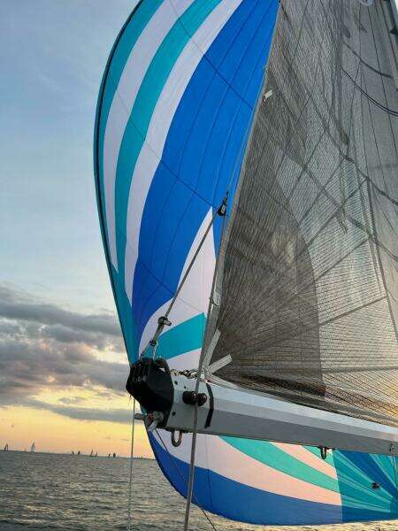 31ft Tartan Yacht For Sale