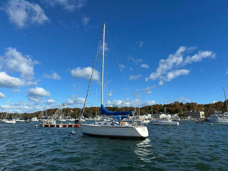 31ft Tartan Yacht For Sale