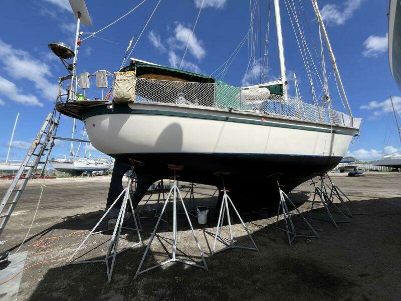 Ivy 39ft Southern Cross Yacht For Sale