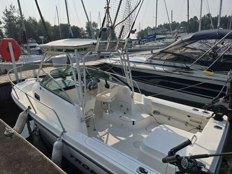 20ft Bayliner Yacht For Sale