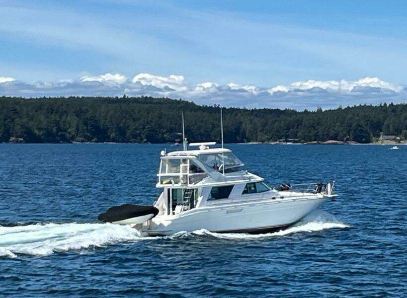 55ft Sea Ray Yacht For Sale