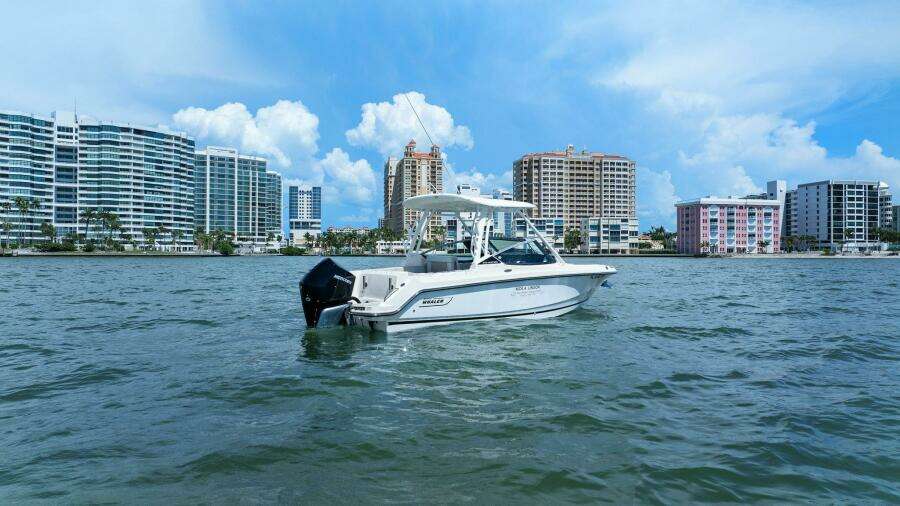 2023 Boston Whaler 240 Vantage - Profile Stern 3/4 Starboard