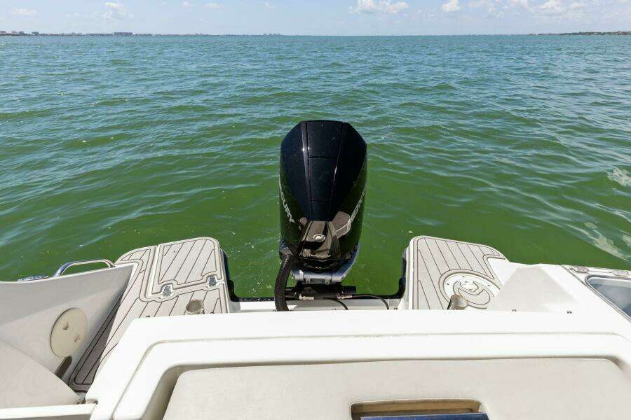 2023 Boston Whaler 240 Vantage - Transom