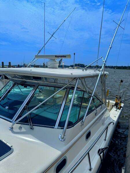 34ft Pursuit Yacht For Sale