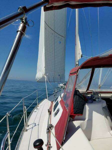SailinNBy 41ft Catalina Yacht For Sale