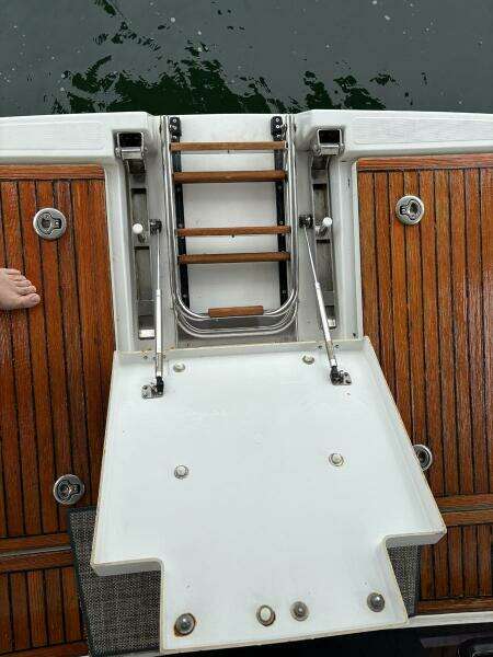 Swim Ladder