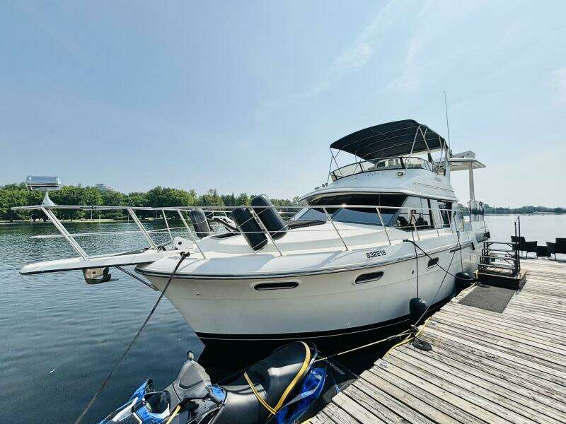 LIQUID ASSET 38ft Carver Yacht For Sale