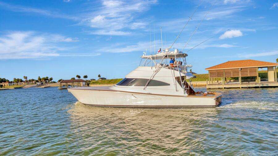 2019 Viking 68 CNV 