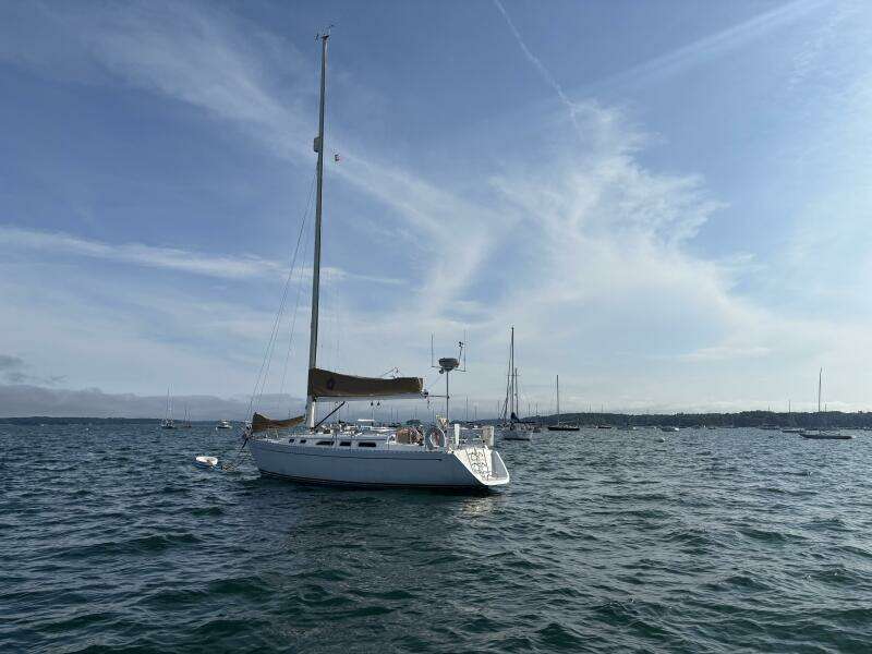 PATRIOT 38ft Freedom Yacht For Sale