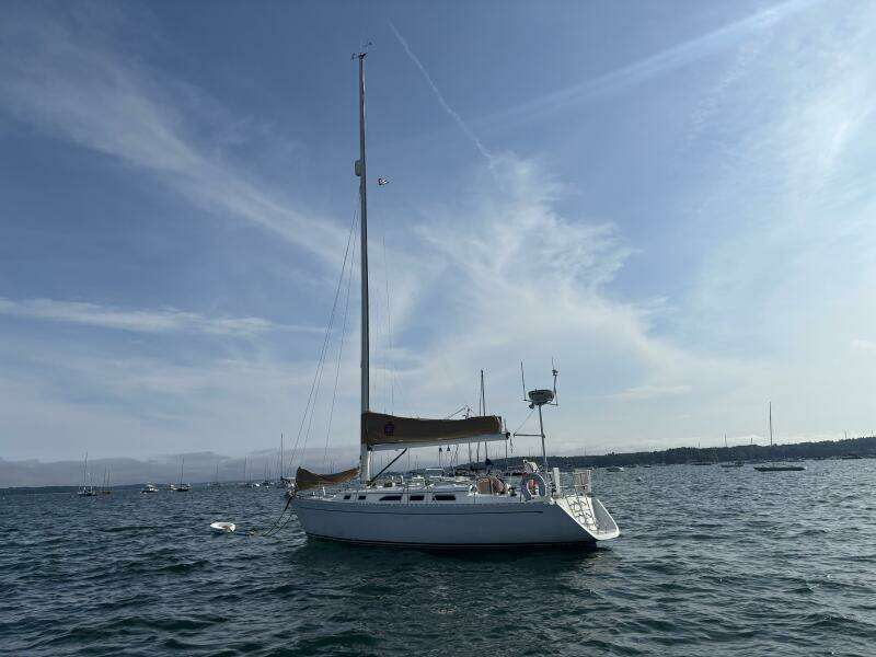 PATRIOT 38ft Freedom Yacht For Sale