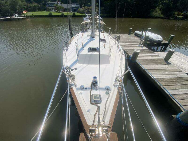 36ft Bayfield Yacht For Sale