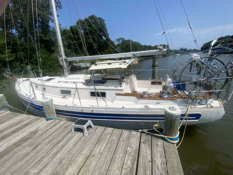 36ft Bayfield Yacht For Sale